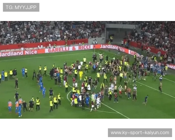 橄榄球世界杯:南非夺冠,球迷冲进球场 橄榄球世界杯:南非夺冠,球迷冲进球场